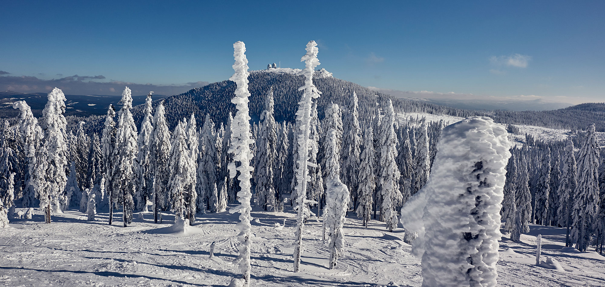 Skifahren im Bayerischen Wald © Woidlife Skifahren im Bayerischen Wald © Woidlife