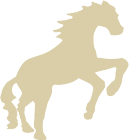 Bayerischer Wald